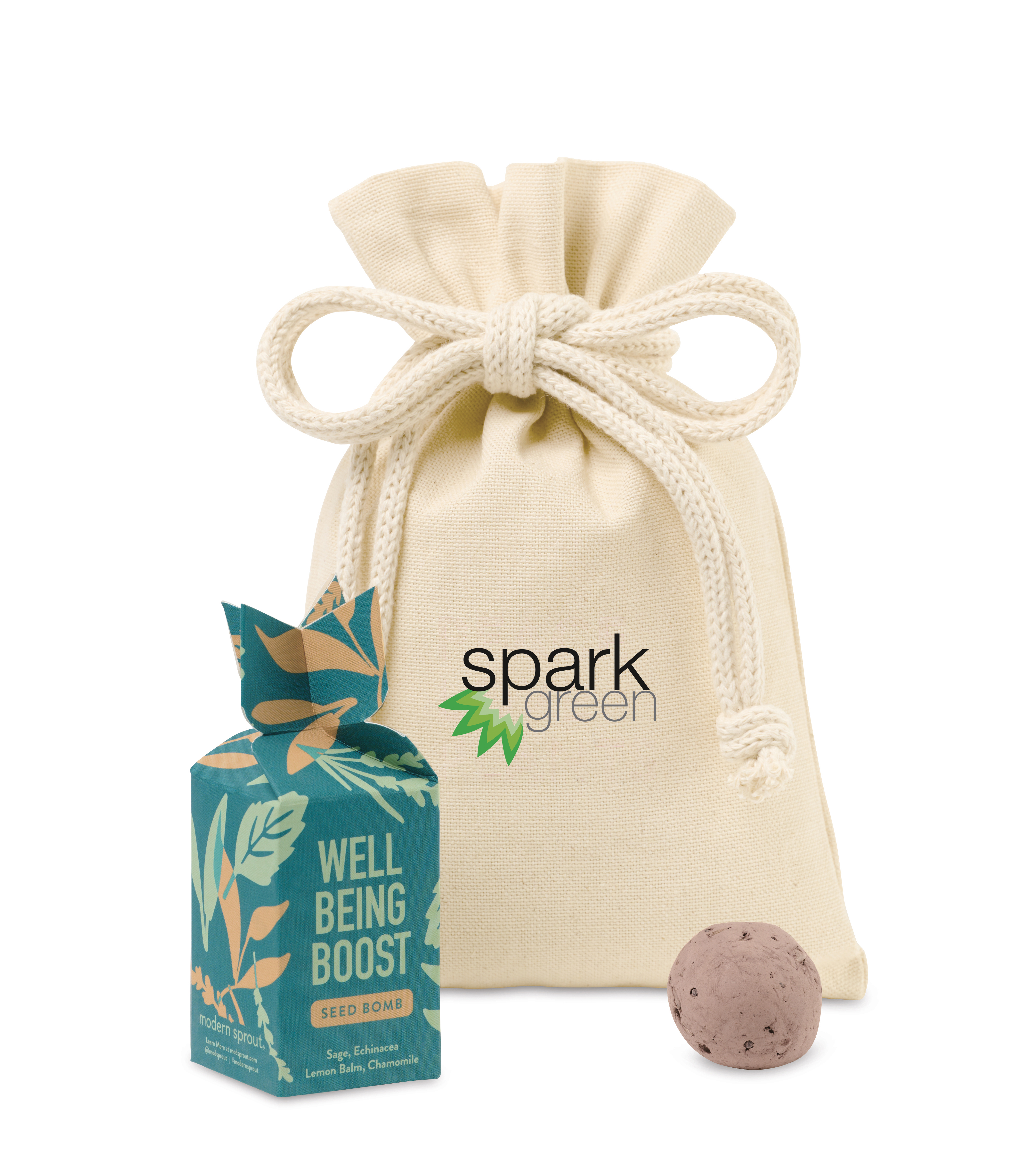 Modern Sprout® Encouragement Seed Bomb